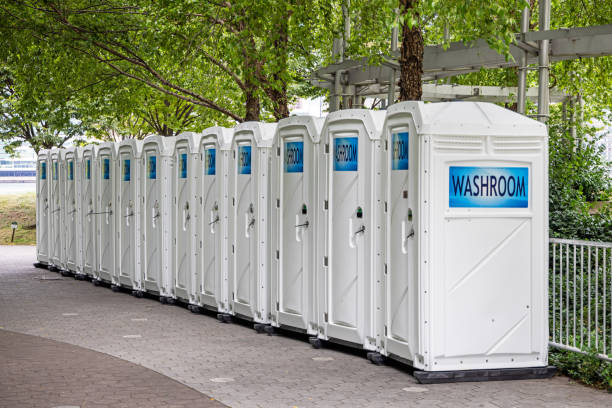 Portable Toilet Options We Offer in Dundee, MI